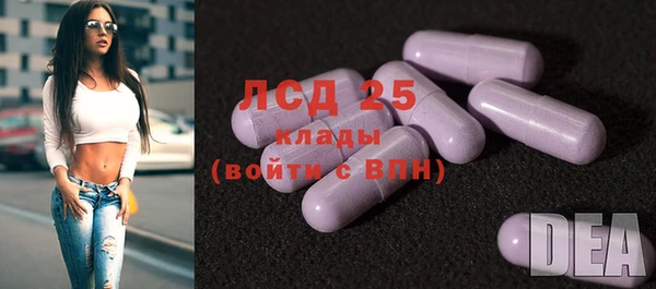 индика Нефтекумск