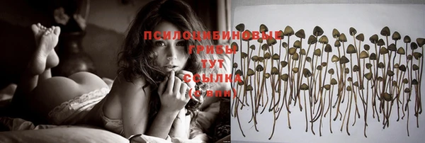 индика Нефтекумск