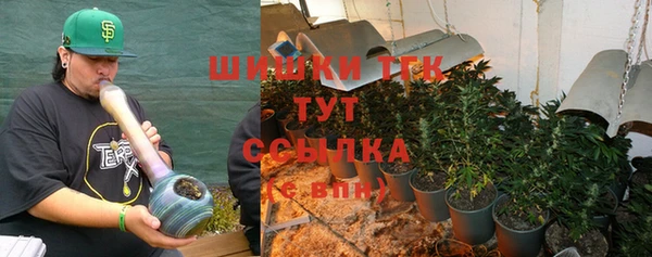 индика Нефтекумск
