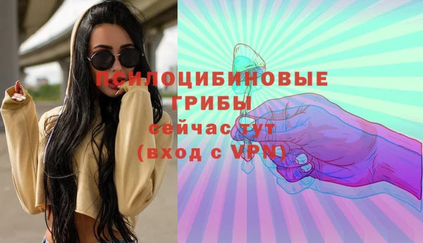индика Нефтекумск