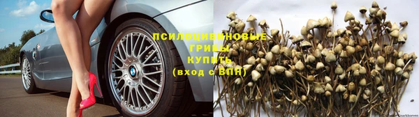 прущая мука Нефтегорск