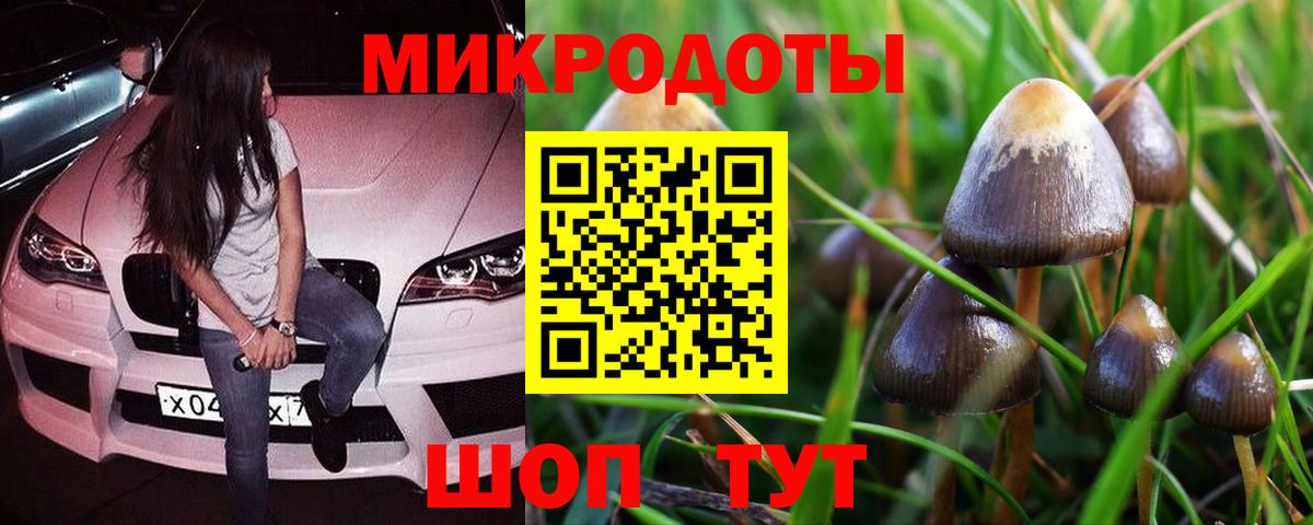 Псилоцибиновые грибы мицелий  Вход с VPN  Биробиджан  Псилоцибиновые грибы Cubensis 