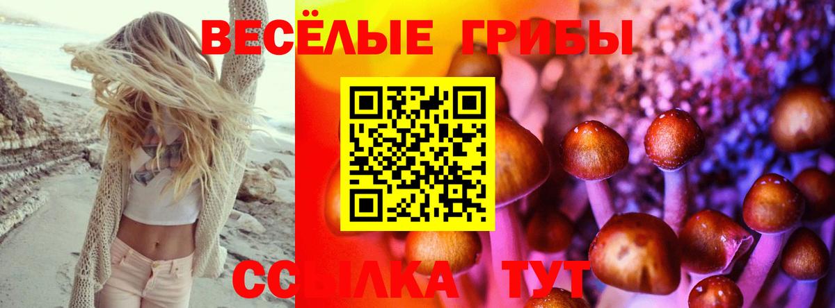 Галлюциногенные грибы мицелий Биробиджан